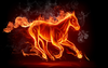 Horse On Fire Image